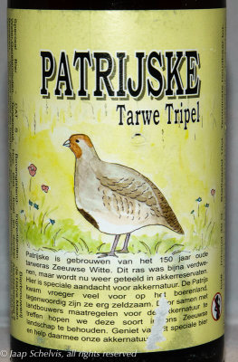 Patrijs - Grey partridge - Perdix perdix - Dutch top-fermenting wheat beer