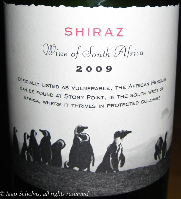 Zwartvoetpinguïn - African penguin - Spheniscus demersus - South African Shiraz red wine 2009