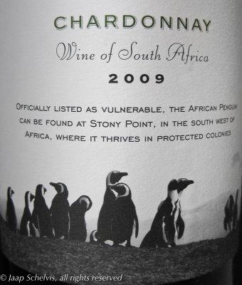 Zwartvoetpinguïn - African penguin - Spheniscus demersus - South African Chardonnay white wine 2009