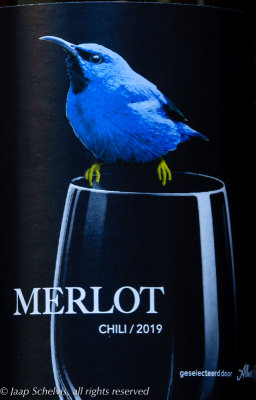 Purperen Suikervogel - Purle Honeycreeper - Cyanerpes caeruleus - Chilean Merlot 2019