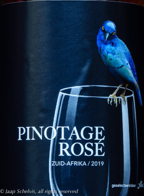 Groenstaartglansspreeuw - Greater blue-eared starling - Lamprotornis chalybaeus - South African Pinotage Rosé 2019