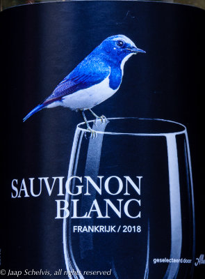 Witkeelvliegenvanger - Ultramarine flycatcher - Ficedula superciliaris - French Sauvignon Blanc 2018