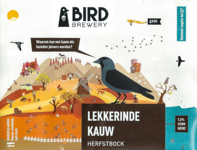 Kauw - Jackdaw - Coloeus monedula - Dutch dark beer