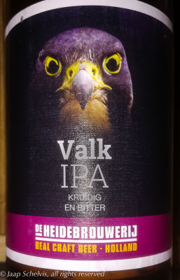 Slechtvalk - Peregrin Falcon - Falco peregrinus - Dutch IPA beer