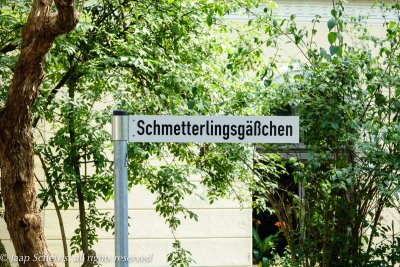 Ulm