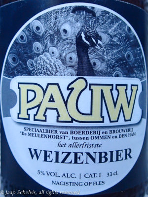 Blauwe Pauw - Blue peafowl - Pavo cristatus - Dutch Wheat Beer