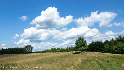 Wolvenduin - Czerwone Bagno