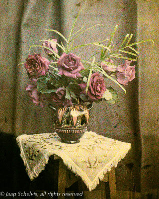 Autochrome still life with roses