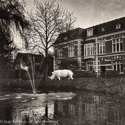 Rhinoceros in the garden