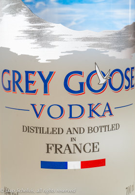 Sneeuwgans - Snow goose - Anser caerulescens - French Vodka