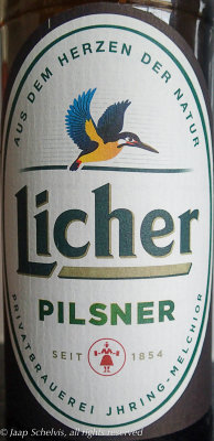 IJsvogel - Kingfisher - Alcedo atthis - German Pilsner beer