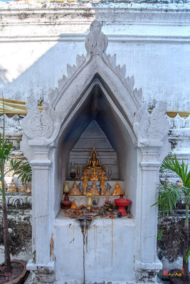 Wat Tung Yu Phra Chedi Buddha Image Shrine (DTHCM2778)