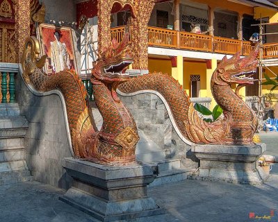 Wat Tung Yu Phra Ubosot Makara and Naga Guardians (DTHCM2785)