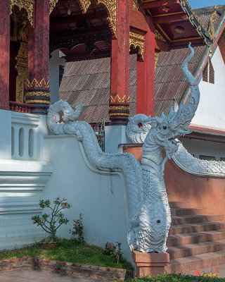 Wat Chang Taem Phra Wihan Makara and Naga Guardian (DTHCM2794)