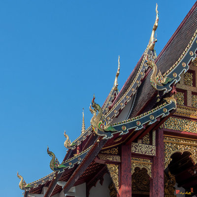 Wat Chang Taem Phra Wihan Naga Roof Finials (DTHCM2800)