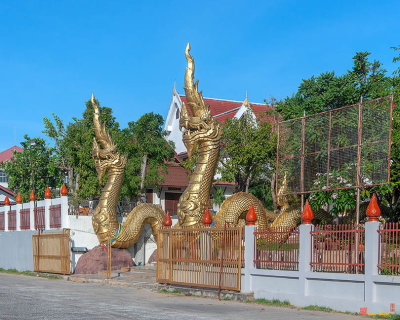Wat Luang Temple Gate at the River (DTHU0678)