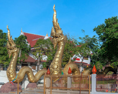 Wat Luang Temple Gate at the River Naga Guardians (DTHU0679)