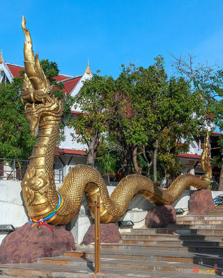 Wat Luang Temple Gate at the River Naga Guardian (DTHU080)
