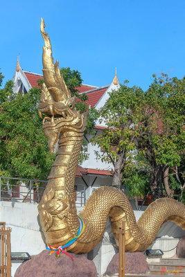 Wat Luang Temple Gate at the River Naga Guardian (DTHU0681)