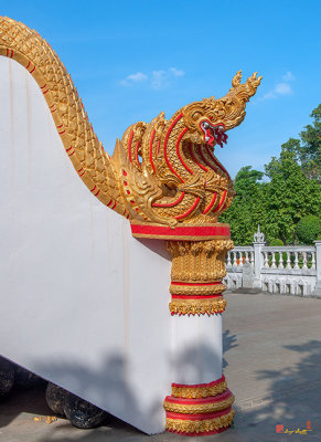 Wat Luang Phra Ubosot Makara and Naga Guardian (DTHU0298)