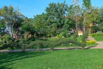 Wat Luang Naga-Shaped Hedge (DTHU0699)