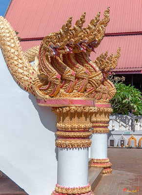 Wat Luang Phra Ubosot Makara and Naga Guardians (DTHU0726)
