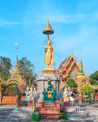 Wat Tai Phrachao Yai Ong Tue Standing Buddha Shrine (DTHU0054)