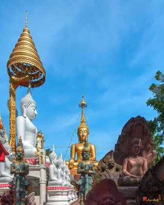 Wat Tai Phra Chao Yai Ong Tue Buddha Images (DTHU0800)
