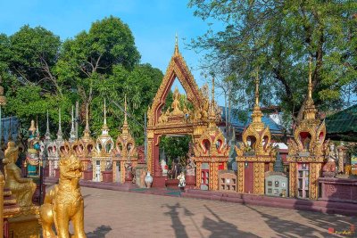 Wat Tai Phrachao Yai Ong Tue Phra Ubosot Gate and Memorial Chedi (DTHU0344)