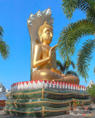 Wat Tham Khuha Sawan Buddha Image (DTHU0081)