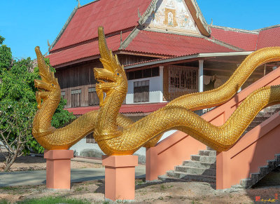 Wat Non Phueng Large Buddha Image Naga Guardians (DTHSSK0013)