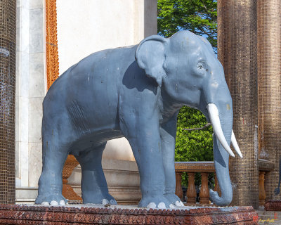 Wat Si Ubon Rattanaram Phra Ubosot Guardian Elephant (DTHU0392)