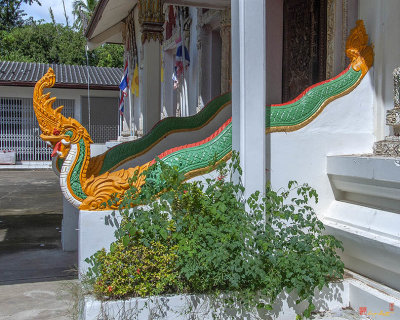 Wat Jaeng Phra Wihan Naga Guardian (DTHU1310)