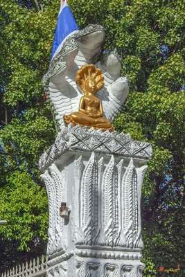 Wat Pathum Malai Phra Ubosot Wall Buddha Image and Naga (DTHU0228)