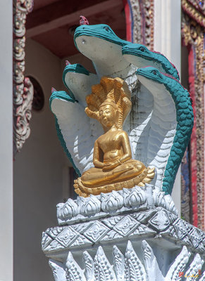 Wat Pathum Malai Phra Ubosot Wall Buddha Image and Naga (DTHU1367)