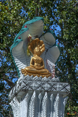 Wat Pathum Malai Phra Ubosot Wall Buddha Image and Naga (DTHU1368)