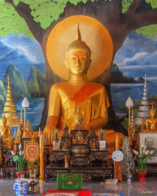 Wat Phon Phaen Phra Ubosot Principal Buddha Image (DTHU1471)