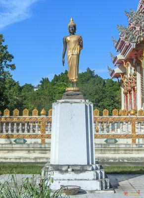 Wat Phlap Buddha Image (DTHNR0032)