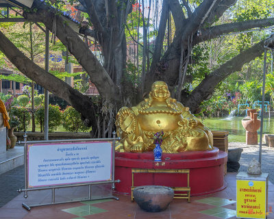 Wat Sala Loi Wealth Luck Buddha Under Bodhi Tree (DTHNR0057)