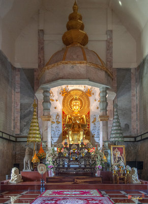 Wat Phayap Phra Ubosot Buddha Image (DTHNR0119)