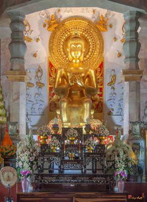 Wat Phayap Phra Ubosot Buddha Image (DTHNR0120)