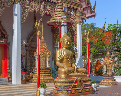 Wat Nak Klang Phra Ubosot Buddha Image at Entrance (DTHB2129)