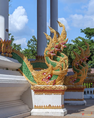 Wat Tha Wang Hin Phra Ubosot Makara and Naga Guardians (DTHU0591)
