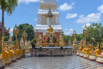 Wat Phra That Phanom Phra Chedi Buddha Images (DTHNP0008)