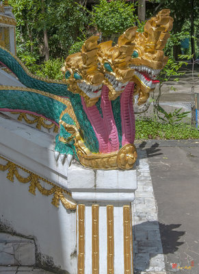 Wat Maruk Khanakhon Phra Ubosot Naga Guardian (DTHNP0038)