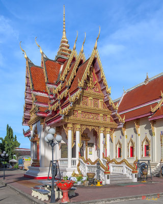 Wat Pho Sri Ho Phra Thong (DTHNP0072)