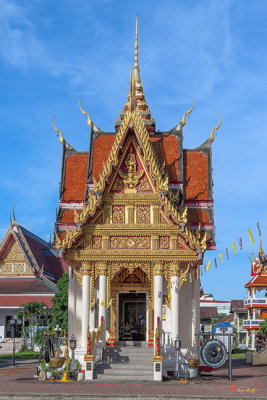 Wat Pho Sri Ho Phra Thong (DTHNP0073)