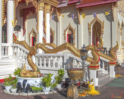 Wat Pho Sri Ho Phra Thong Naga Guardians (DTHNP0081)