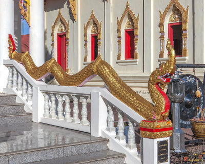 Wat Pho Sri Ho Phra Thong Naga Guardian (DTHNP0082)