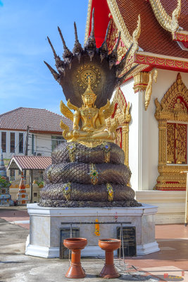 Wat Klang Buddha Image on Naga Throne (DTHNP0120)